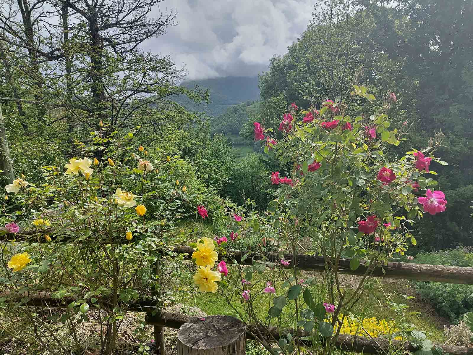 Vue du gîte